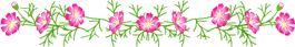 14.gif