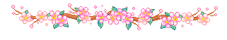 26.gif