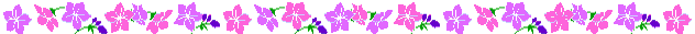 215.gif