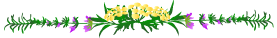 53.gif