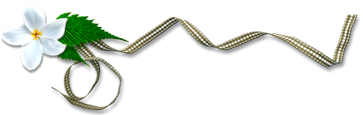 15.png